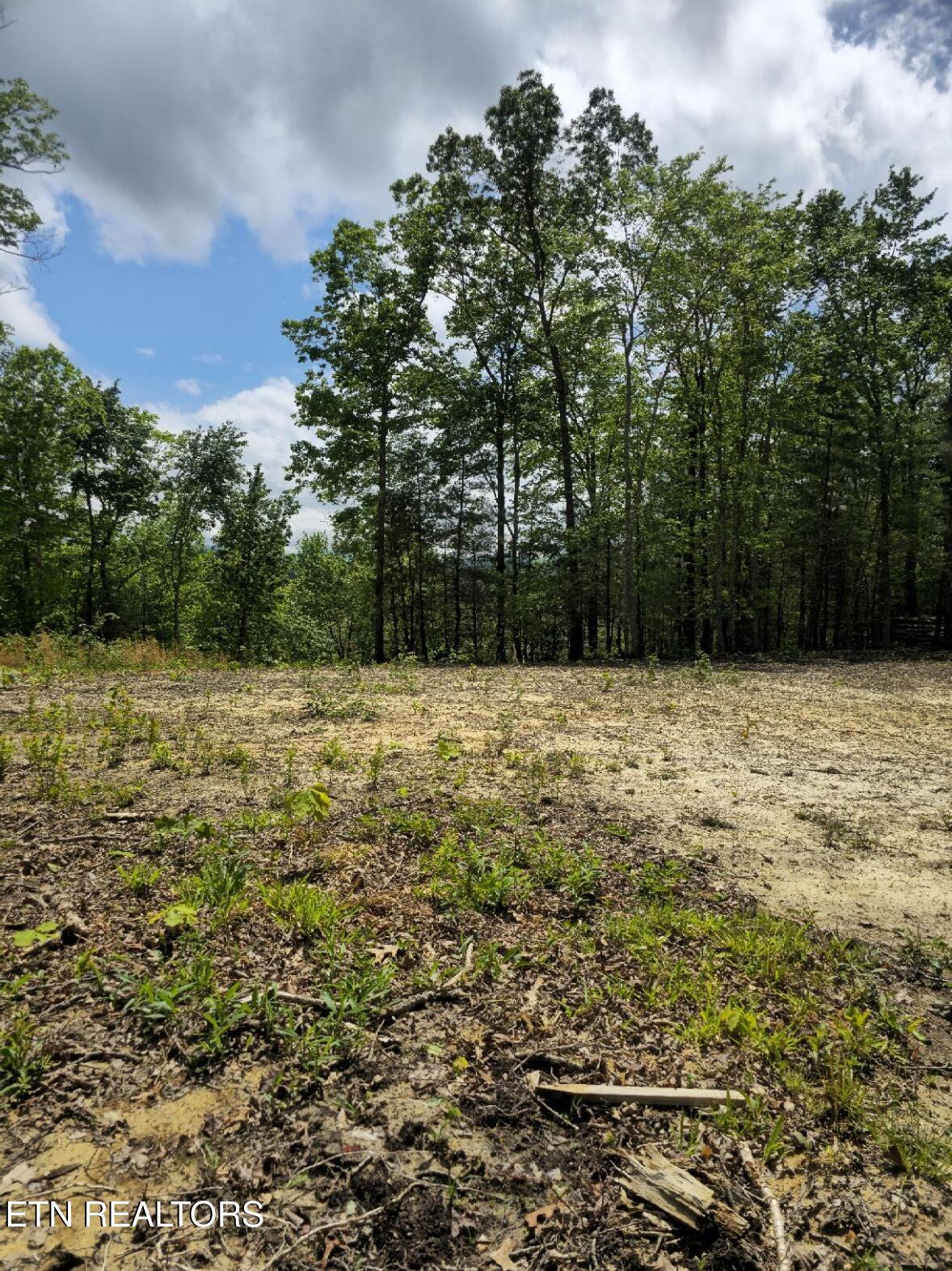 0 Carmel Ridge Robbins, TN 37852 - Photo 10 of 15 20260428_144451