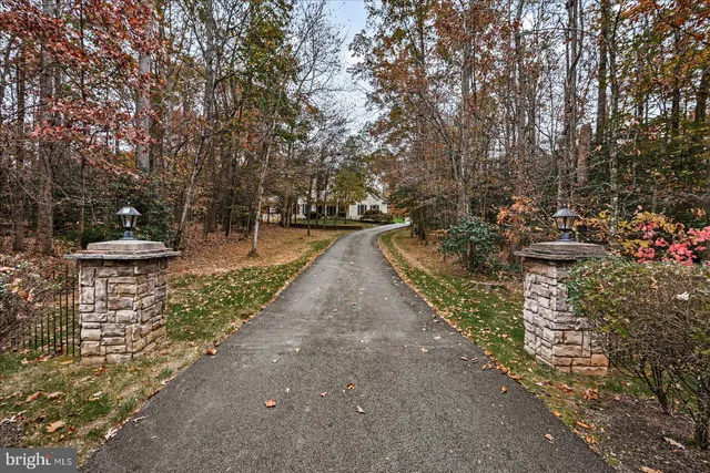 a view of a yard with plants and large trees