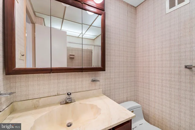 a bathroom with a sink a toilet and mirror