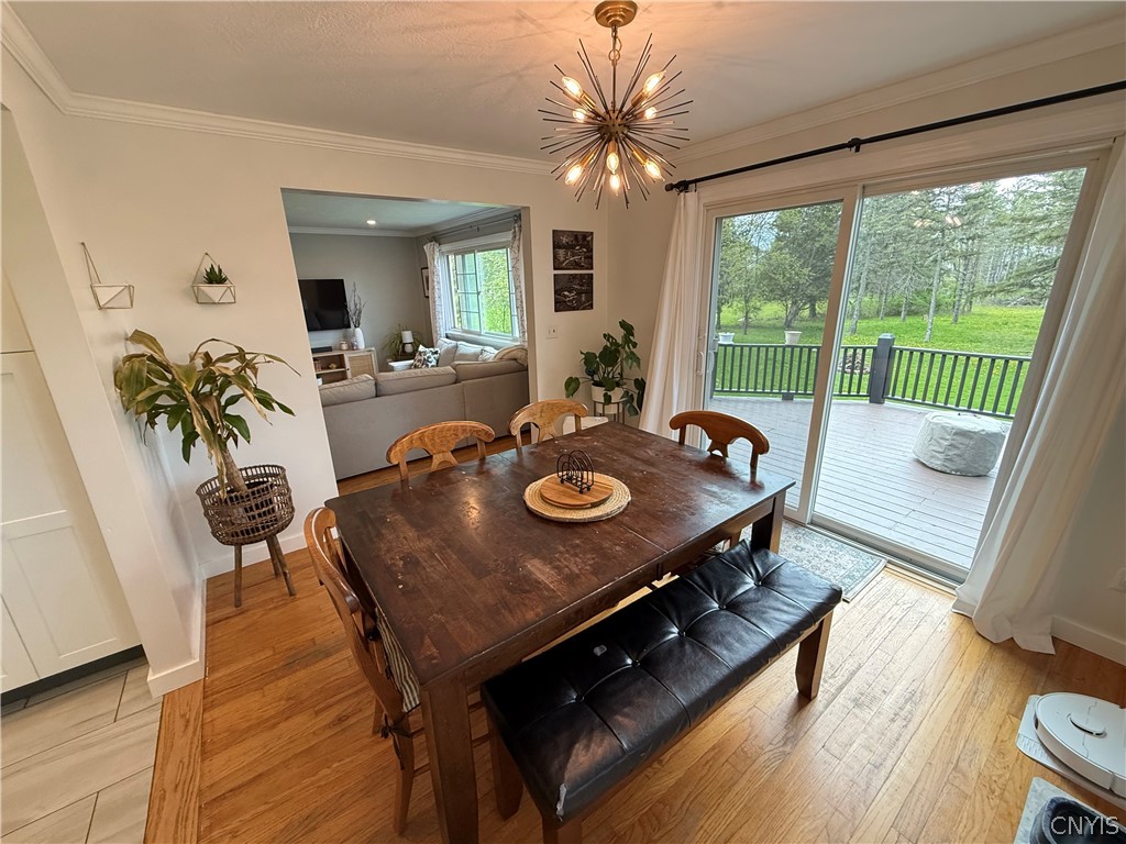 64 Gunderman Road Danby, NY 14850 - Photo 16 of 50
