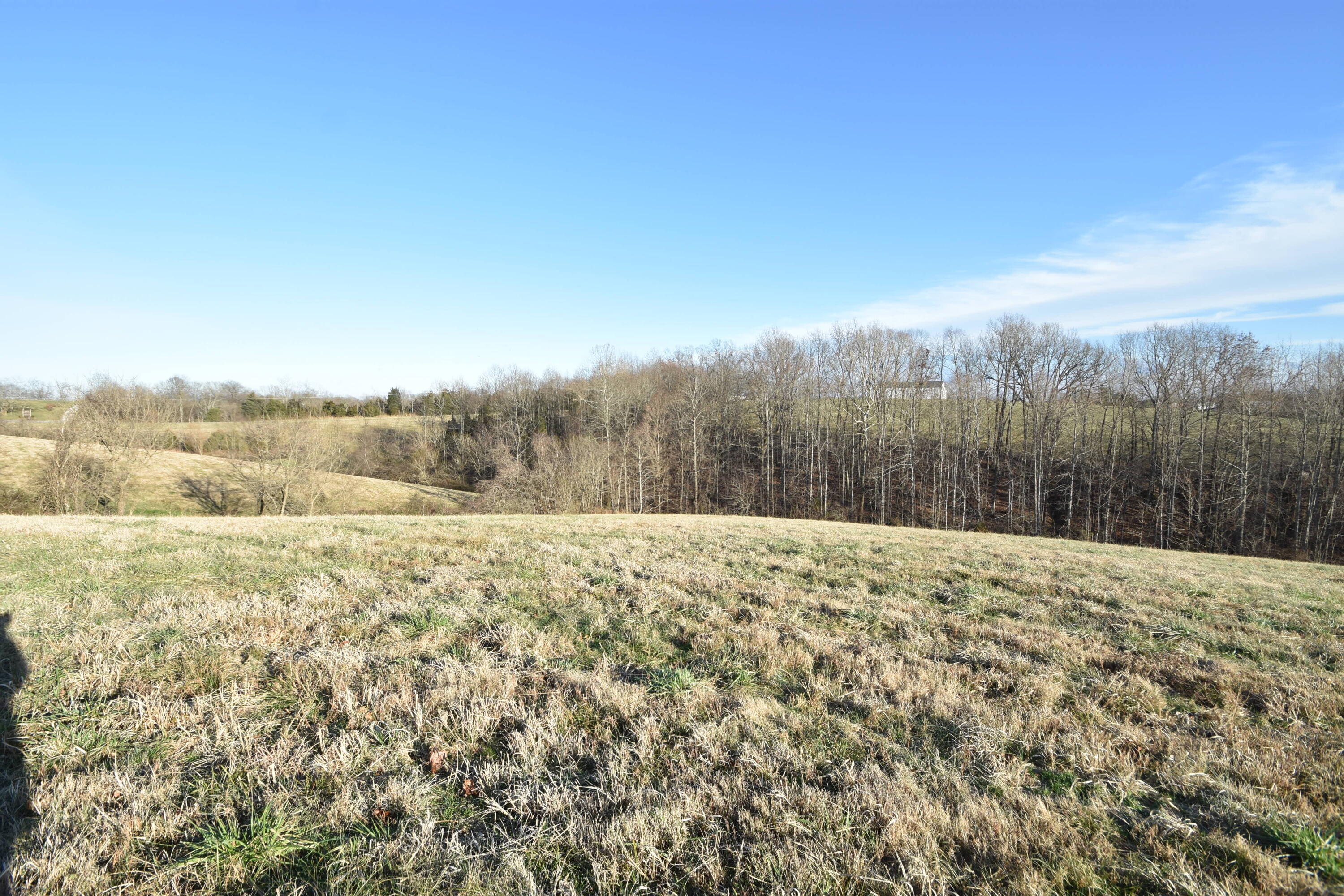 741 Chaplin Road, Unit 2 Willisburg, KY 40078 - Photo 18 of 20 018