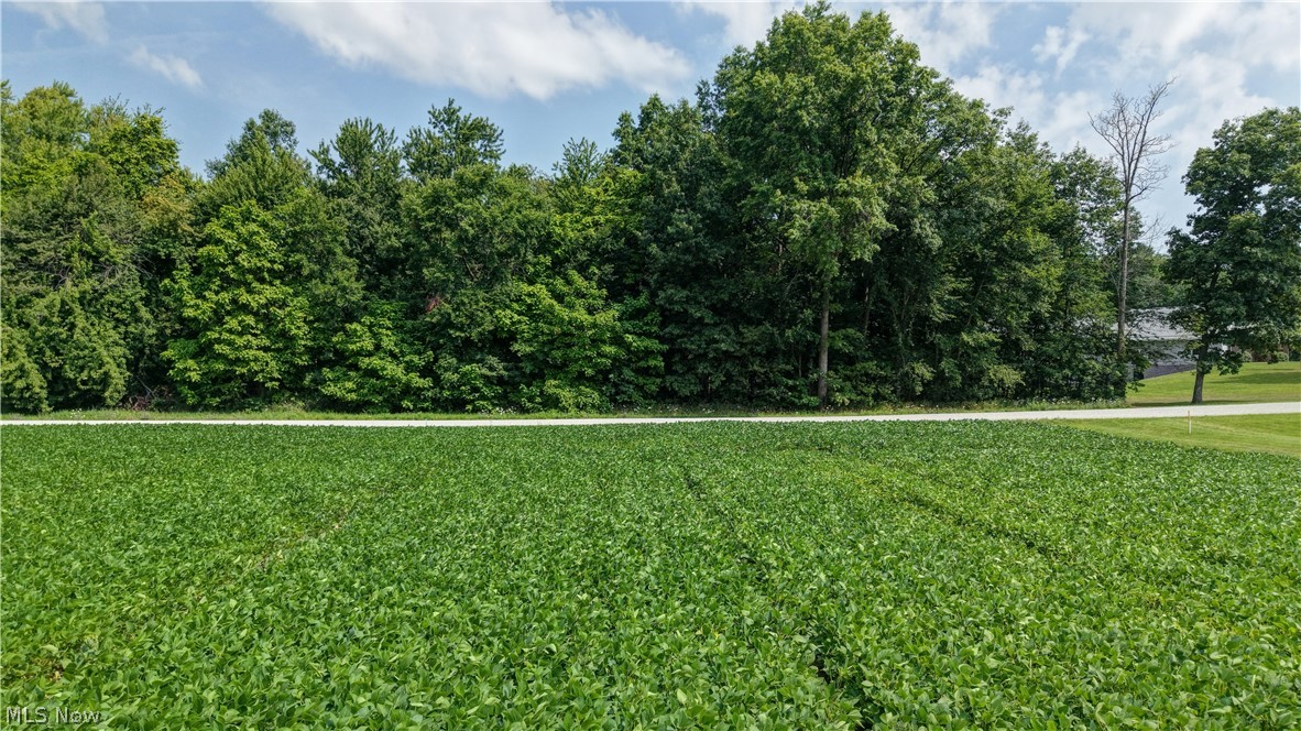 Goudy Road Orrville, OH 44667 - Photo 15 of 27 Gallery Image 15