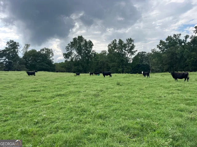 a backyard of a house with a yard and outdoor seating
