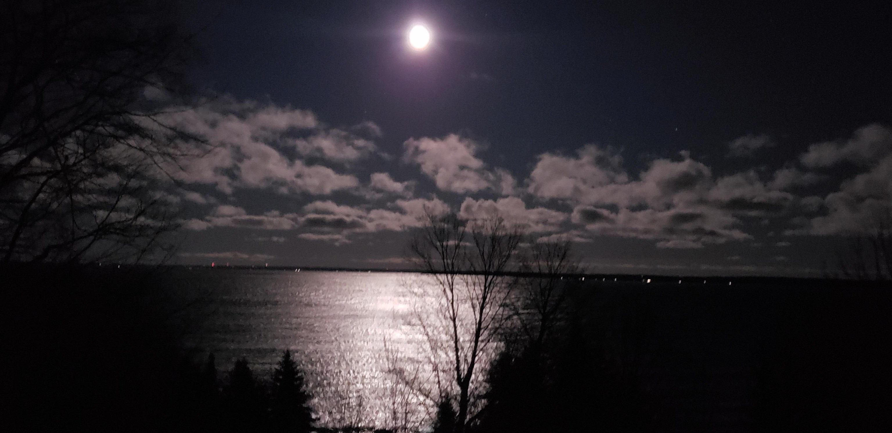 1031 South Bay View Trail Suttons Bay, MI 49682 - Photo 86 of 92