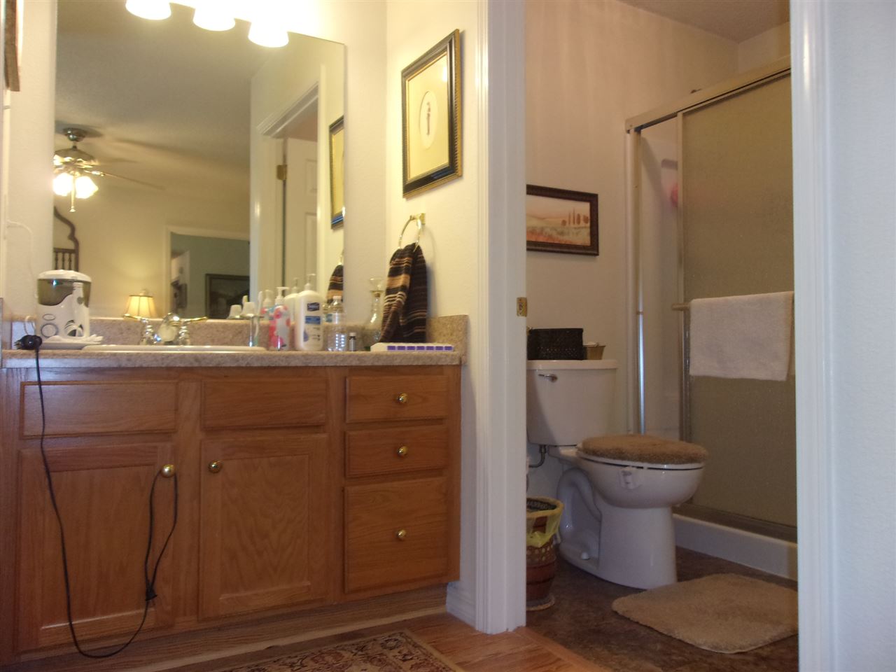 2563 Santa Rosa Drive Lillian, AL 36549 - Photo 23 of 43 Master bath