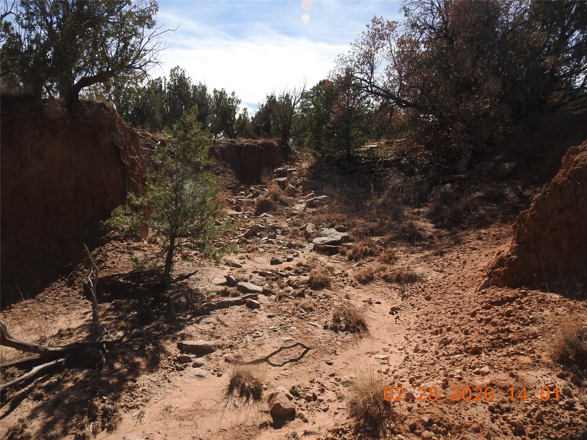 305 A Cr Ribera, NM 87560 - Photo 21 of 23