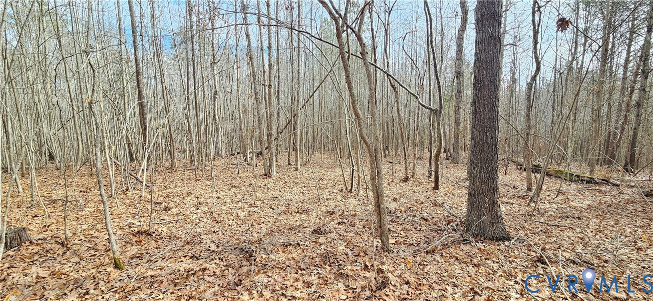 9-a-61 Springfield Road Meherrin, VA 23954 - Photo 4 of 8 a view of a pathway of a yard
