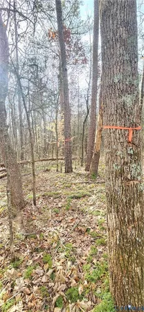 a view of empty yard with tree s