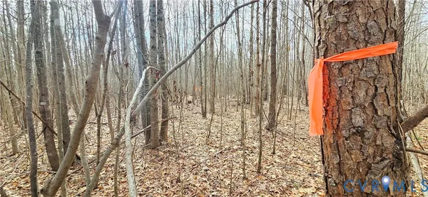 a bathroom with a shower curtain and a window