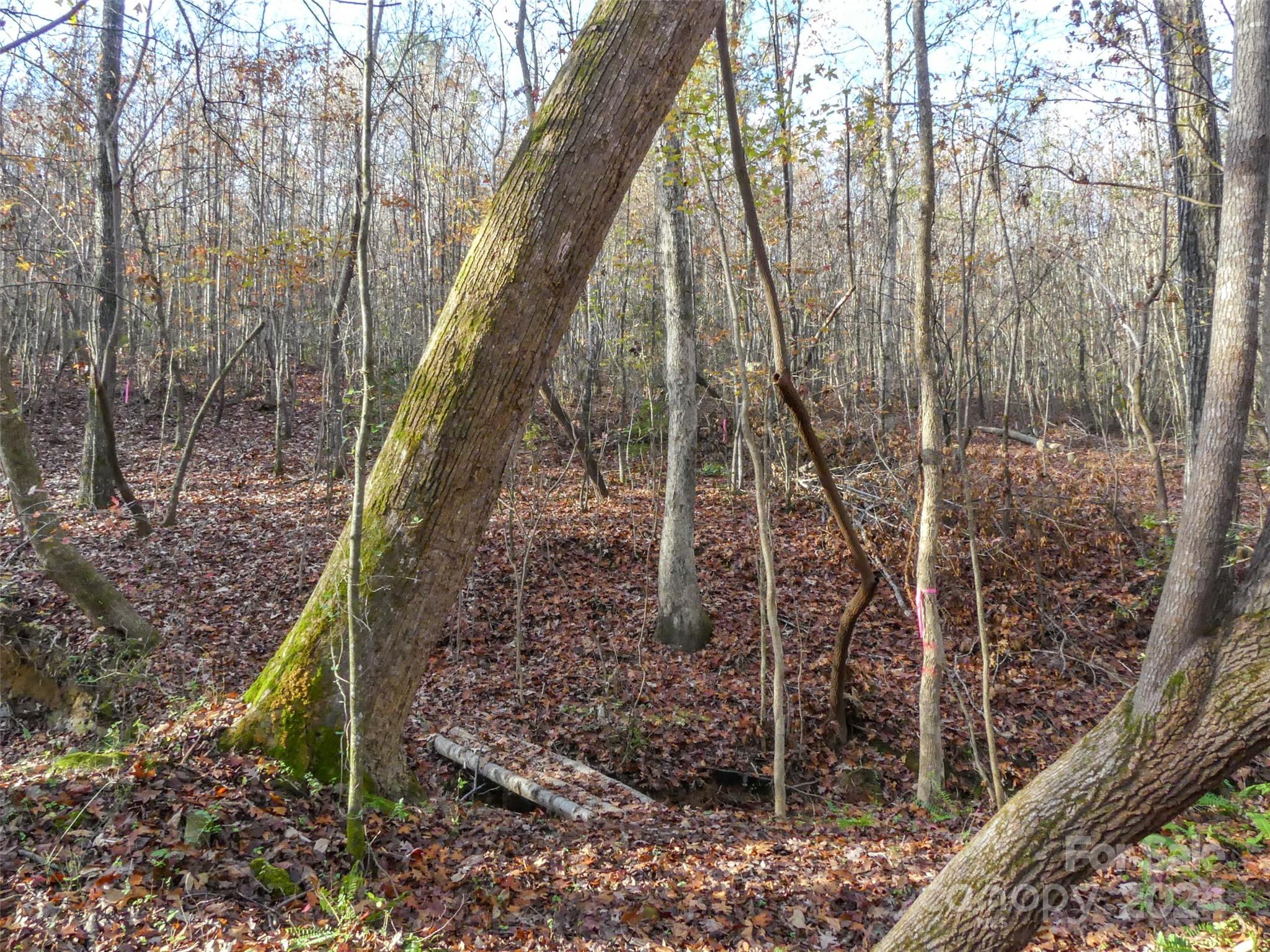 0 State Line Road Mooresboro, NC 28114 - Photo 1 of 18