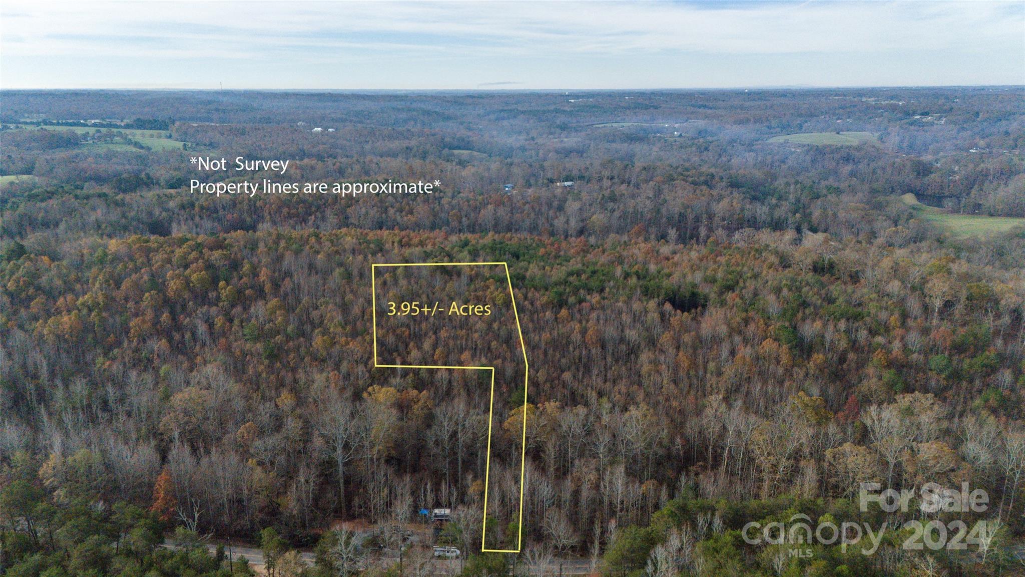 0 State Line Road Mooresboro, NC 28114 - Photo 11 of 18