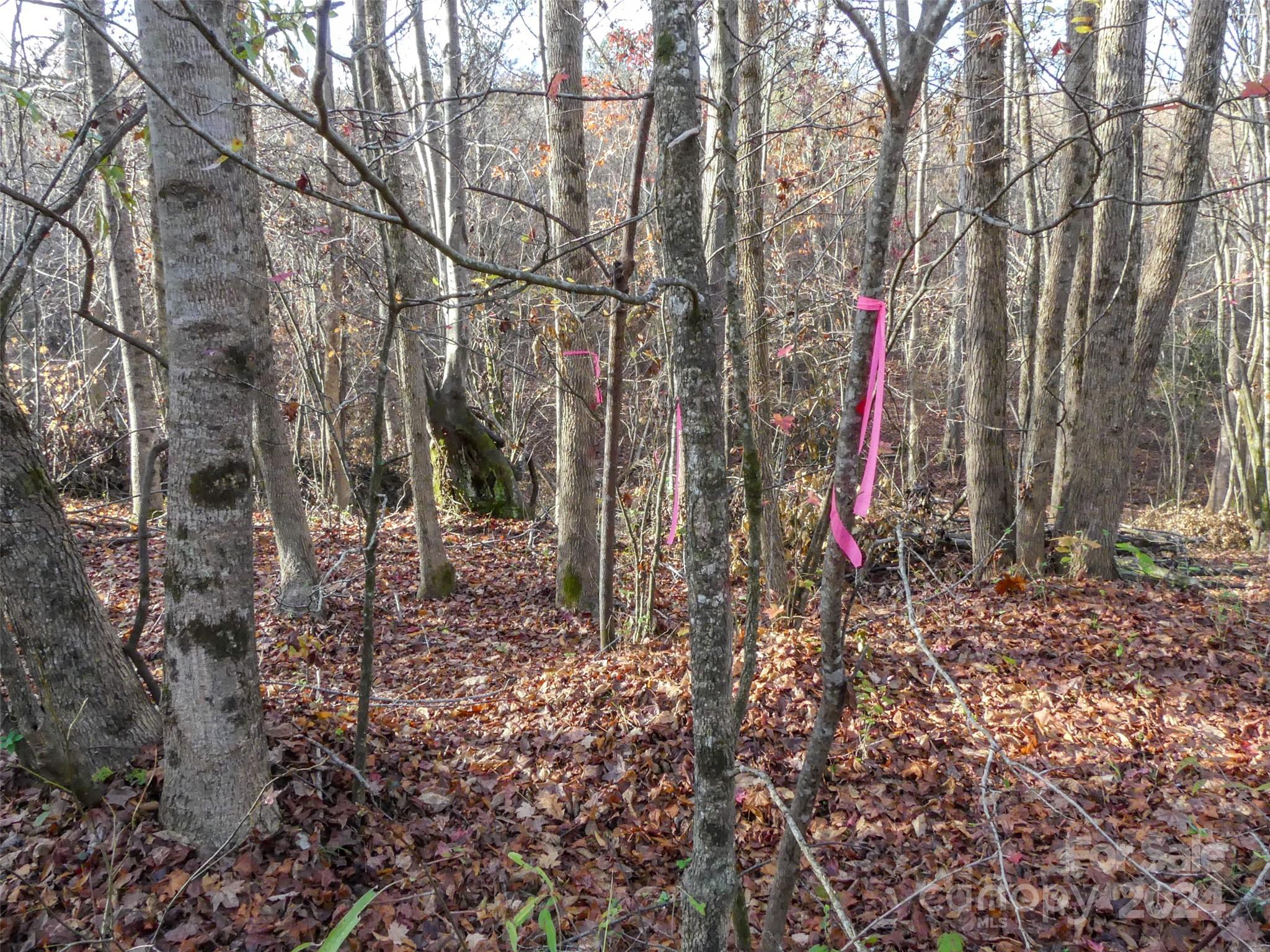 0 State Line Road Mooresboro, NC 28114 - Photo 13 of 18