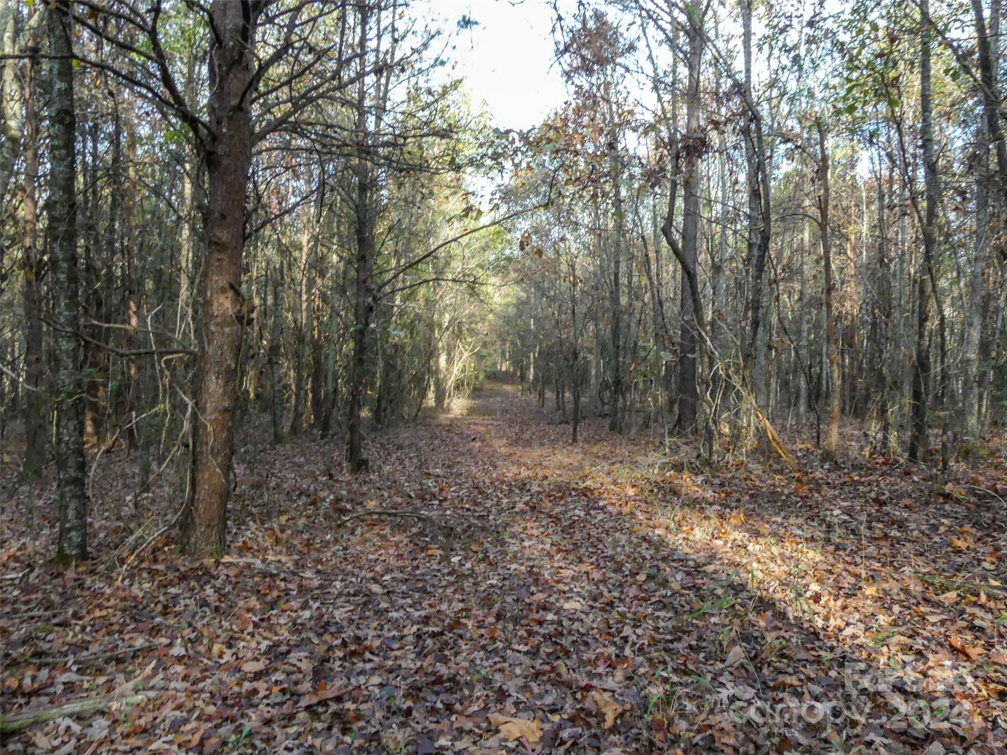 0 State Line Road Mooresboro, NC 28114 - Photo 14 of 18