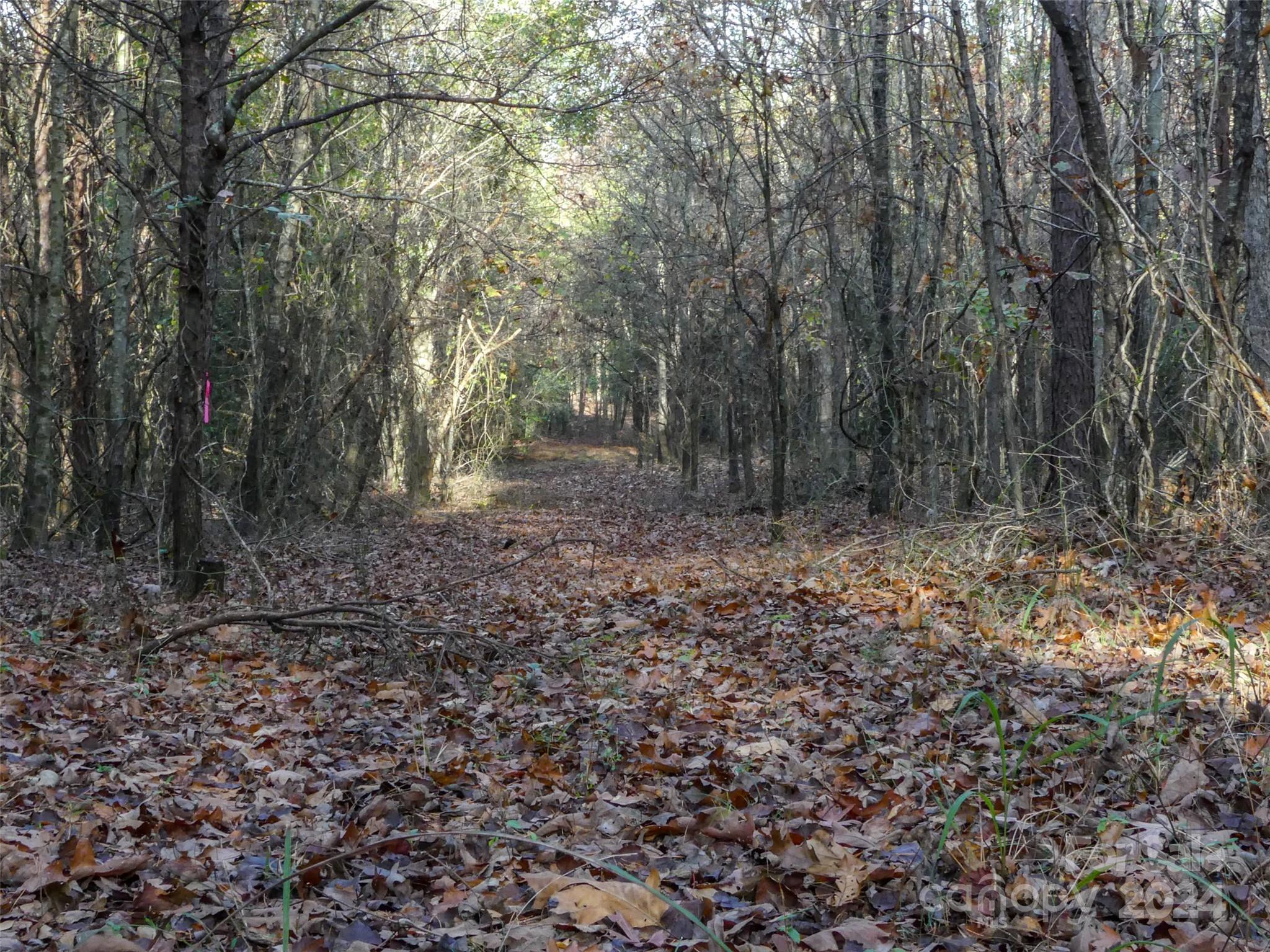 0 State Line Road Mooresboro, NC 28114 - Photo 15 of 18