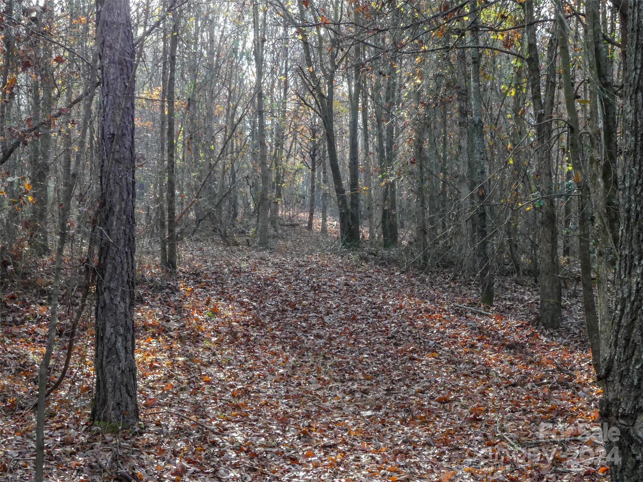 0 State Line Road Mooresboro, NC 28114 - Photo 16 of 18