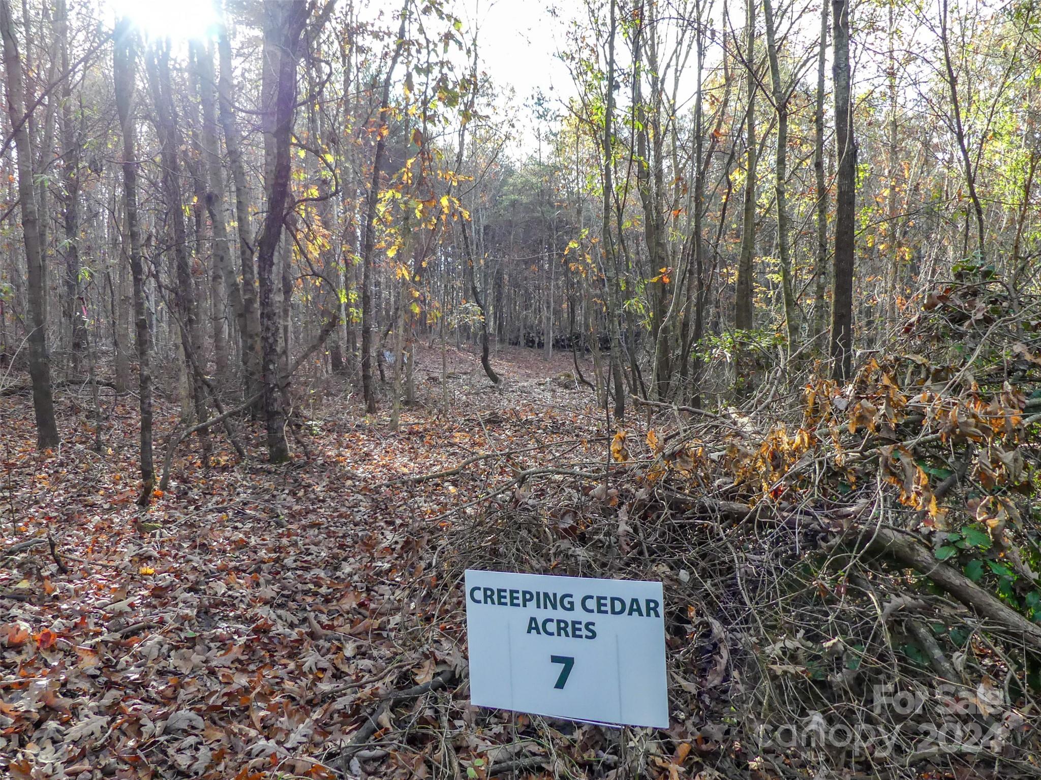 0 State Line Road Mooresboro, NC 28114 - Photo 17 of 18