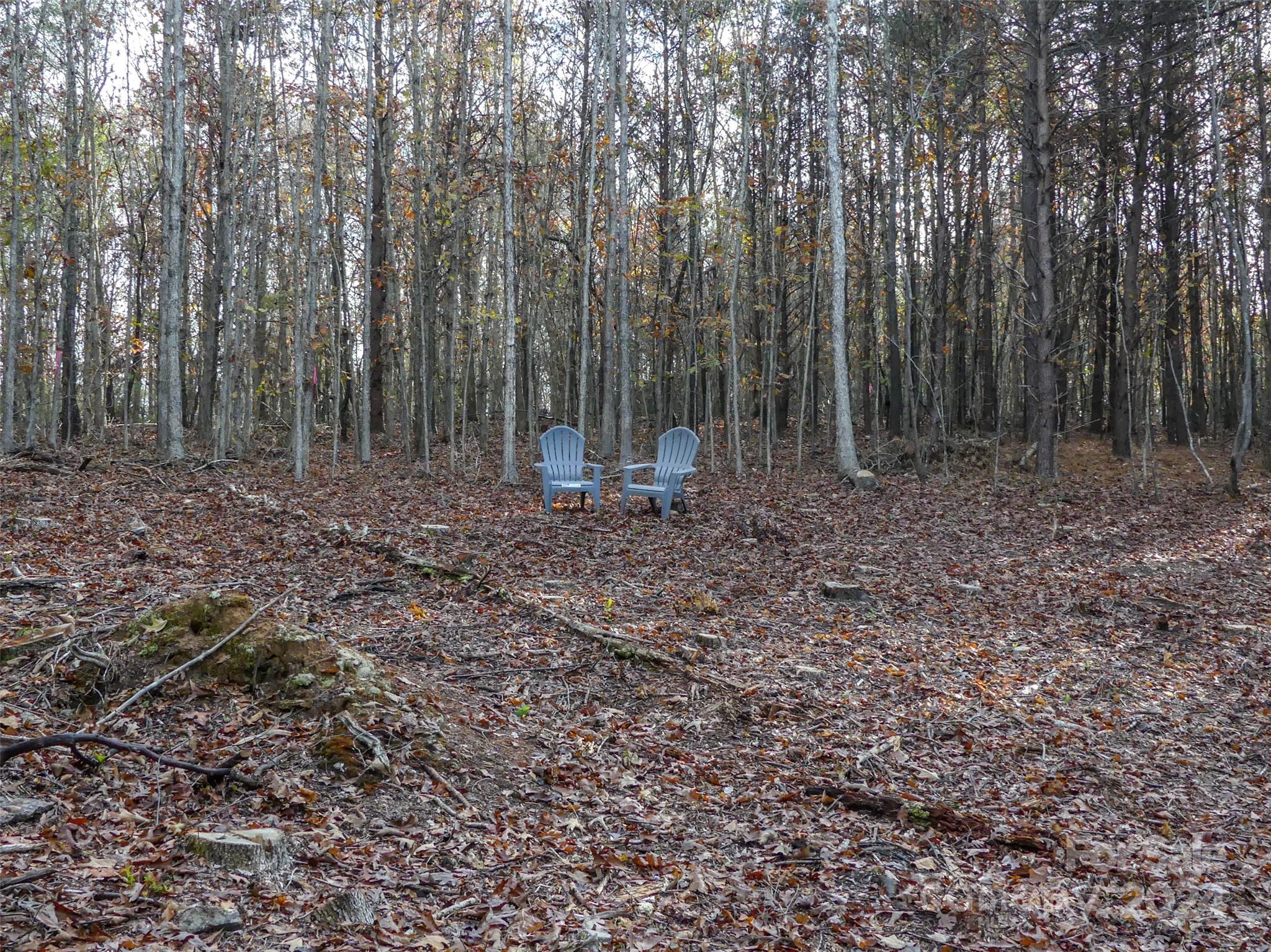 0 State Line Road Mooresboro, NC 28114 - Photo 3 of 18