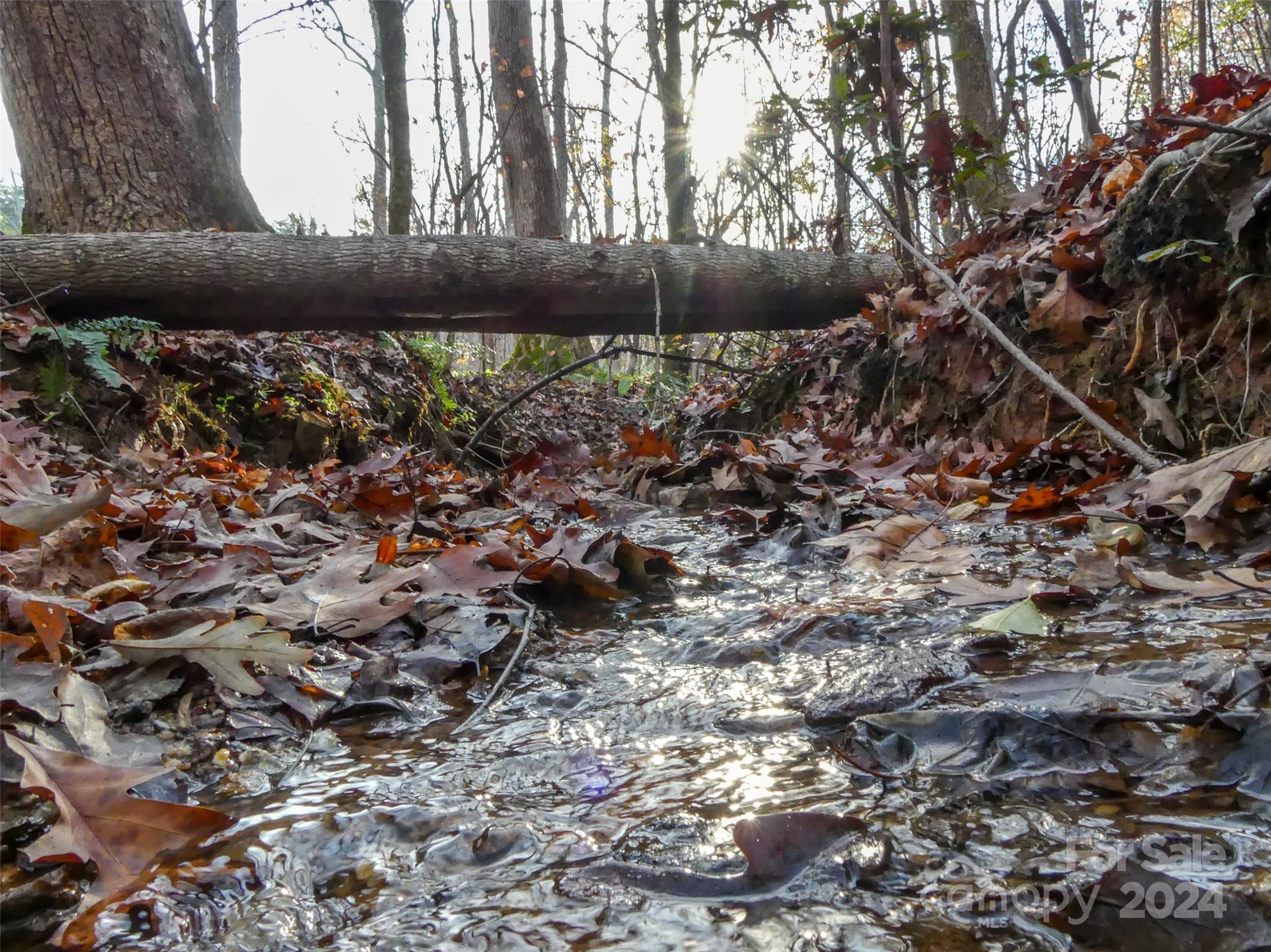 0 State Line Road Mooresboro, NC 28114 - Photo 4 of 18
