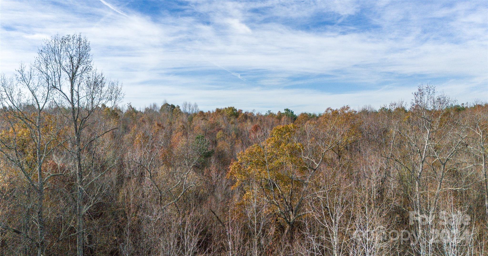 0 State Line Road Mooresboro, NC 28114 - Photo 8 of 18
