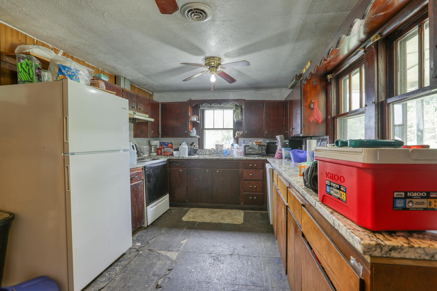 1266 Butcher Valley Road Rogersville, TN 37857 - Photo 26 of 67 Juhl. 1266 Butchers V. Rog MLSb (2 of 2