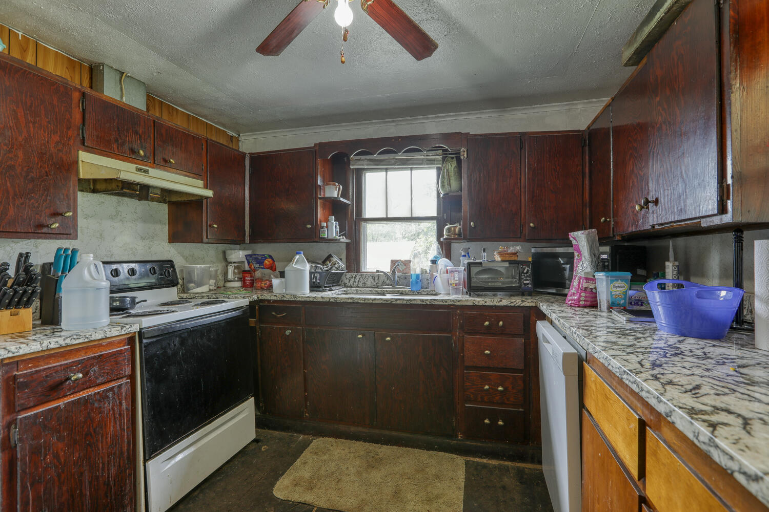 1266 Butcher Valley Road Rogersville, TN 37857 - Photo 29 of 67 Juhl. 1266 Butchers V. Rog MLSb (3 of 2