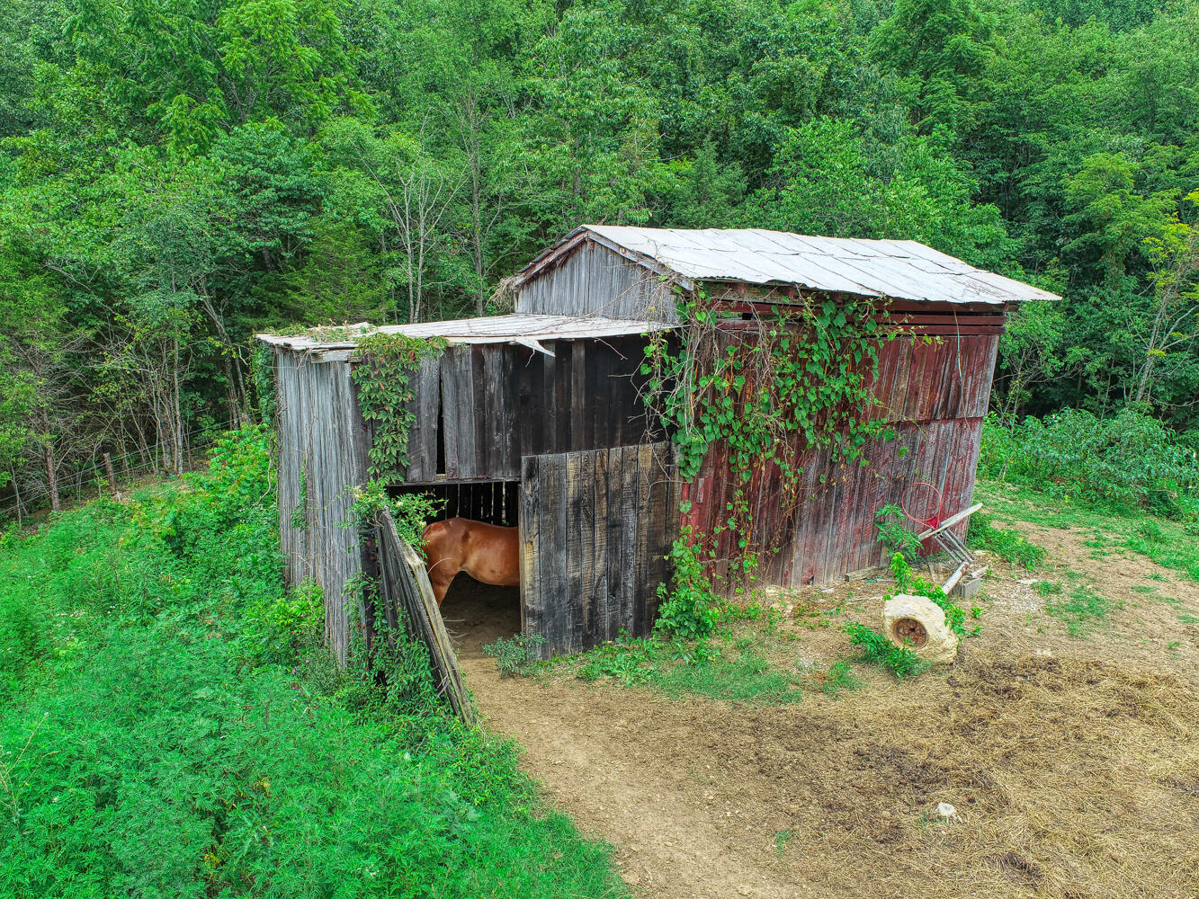 1266 Butcher Valley Road Rogersville, TN 37857 - Photo 36 of 67 Juhl. 1266 Butchers V. Rog MLSa (15 of