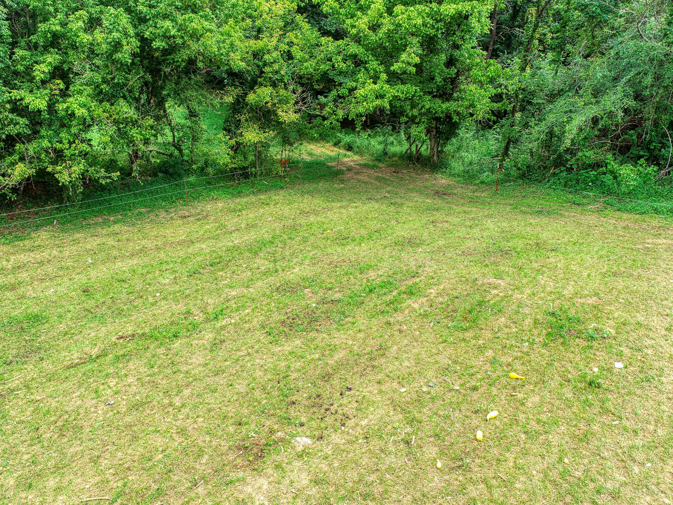 1266 Butcher Valley Road Rogersville, TN 37857 - Photo 50 of 67 Juhl. 1266 Butchers V. Rog MLSa (29 of