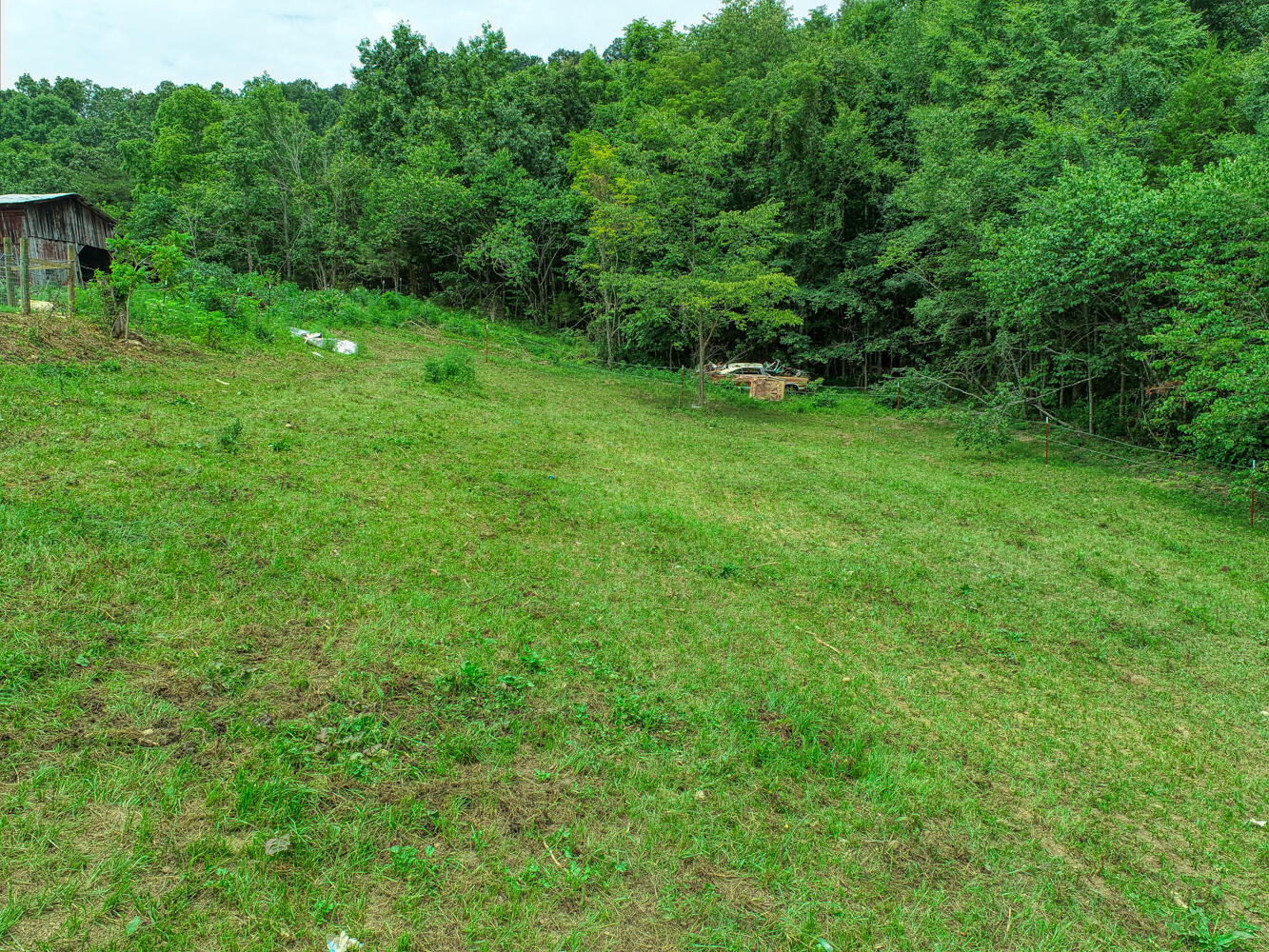 1266 Butcher Valley Road Rogersville, TN 37857 - Photo 60 of 67 Juhl. 1266 Butchers V. Rog MLSa (39 of