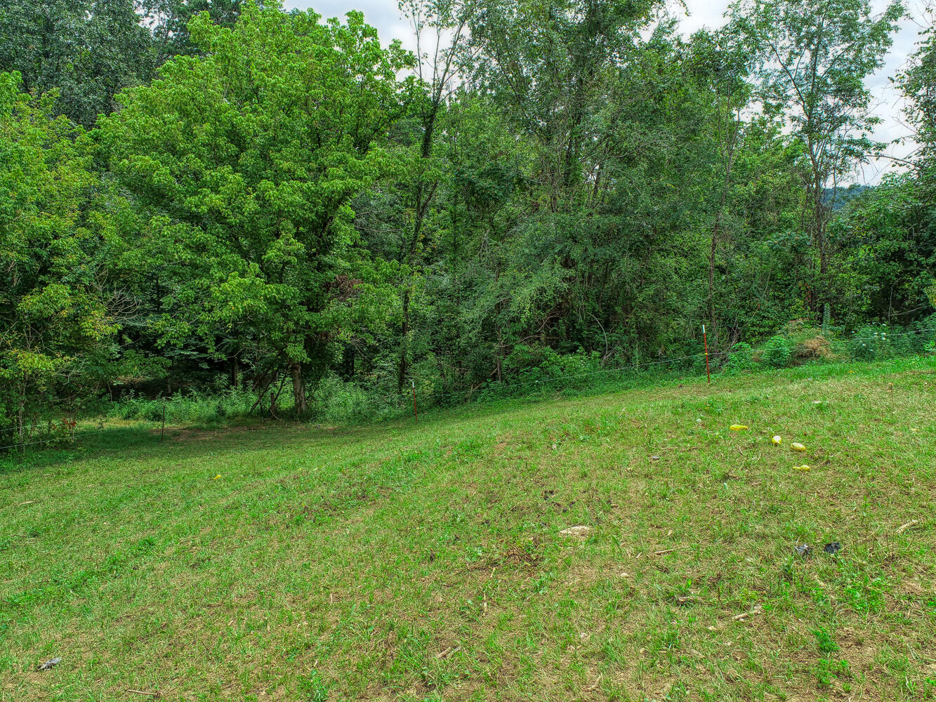 1266 Butcher Valley Road Rogersville, TN 37857 - Photo 61 of 67 Juhl. 1266 Butchers V. Rog MLSa (40 of