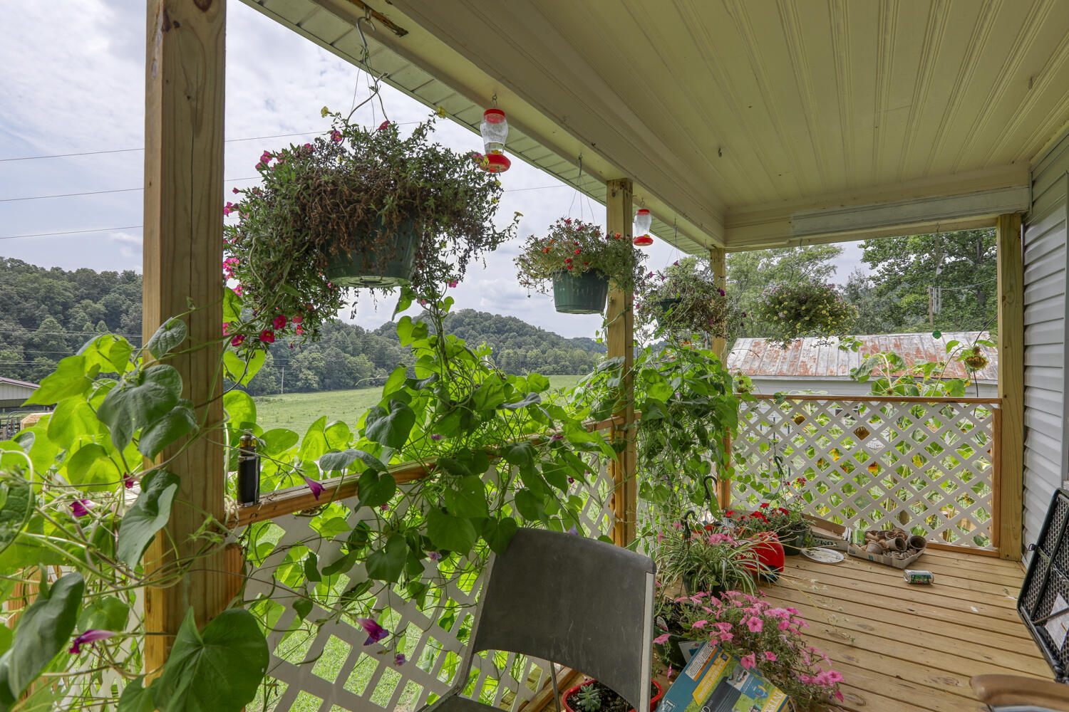 1266 Butcher Valley Road Rogersville, TN 37857 - Photo 63 of 67 Juhl. 1266 Butchers V. Rog MLSb (22 of