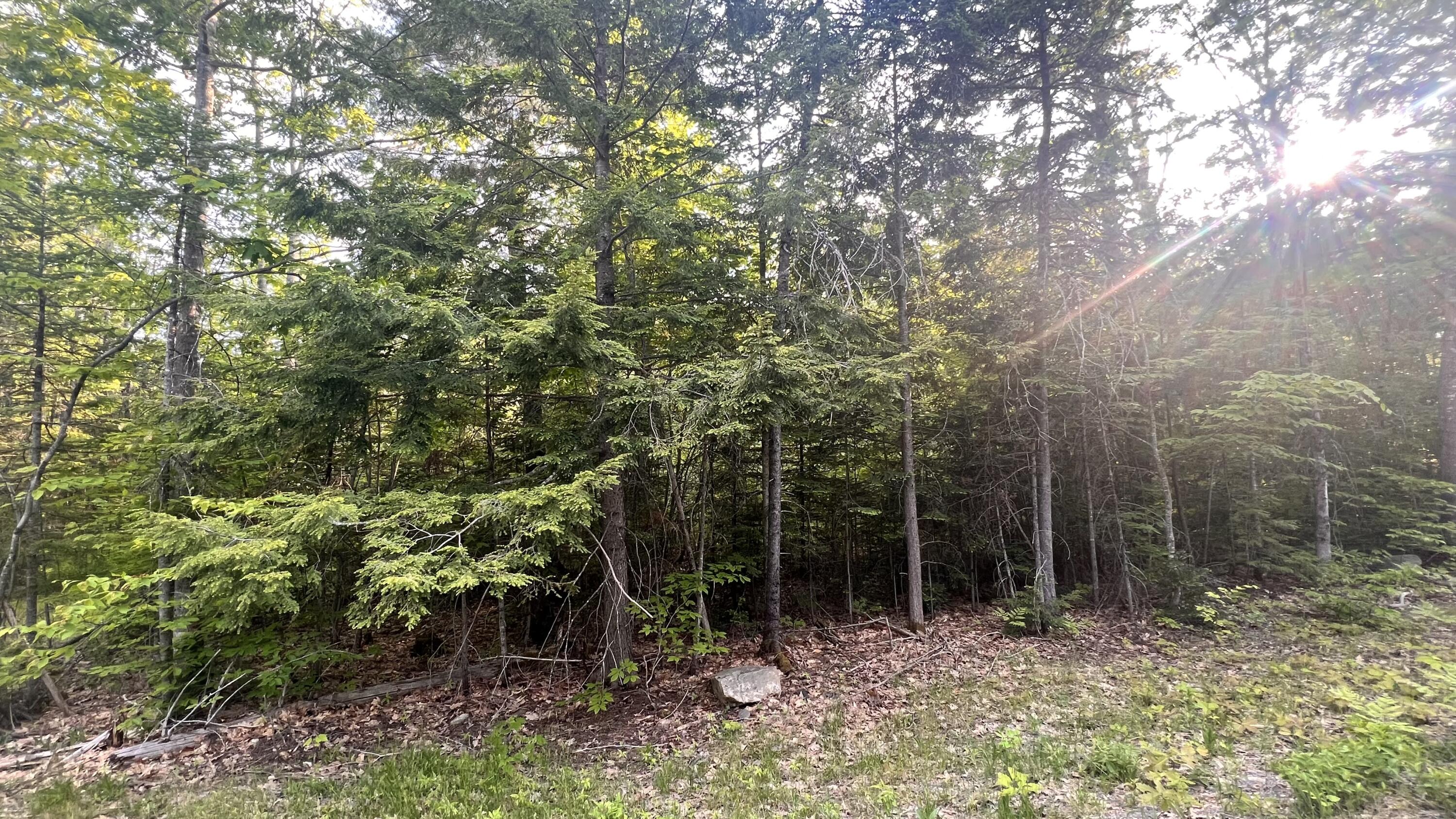 4 Map Road Parkman, ME 04443 - Photo 15 of 19 IMG-4020