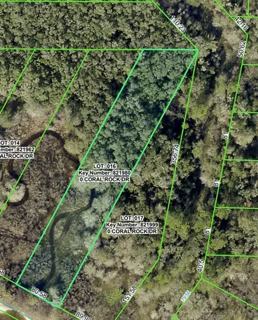 $10,000 | 34063 Coral Rock Drive, Webster, FL 33597