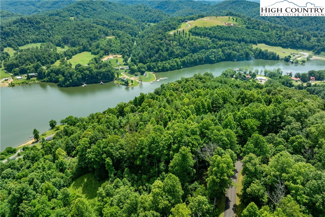 Lot 12 Lake Ridge Butler, TN 37640 - Photo 10 of 22