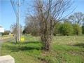 0 Towne Center Boulevard Ridgeland, MS 39157 - Photo 5 of 8 Photo 6