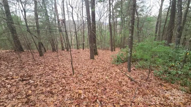 $625,000 | 23 Jay Foster Way, Saluda, NC 28773