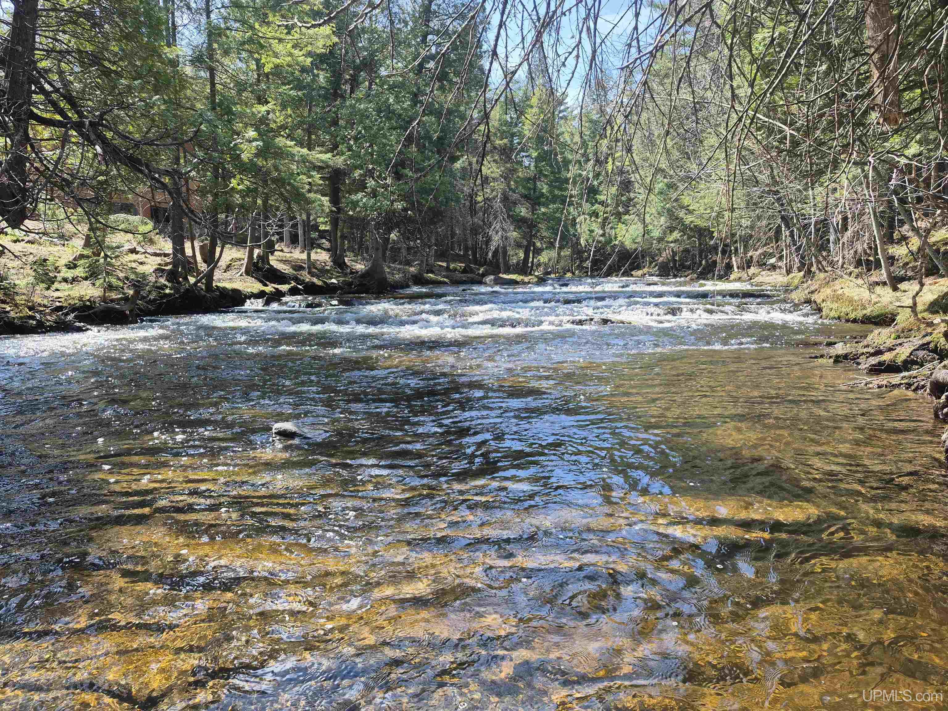 12-acres Salmon Road L'Anse, MI 49946 - Photo 10 of 39