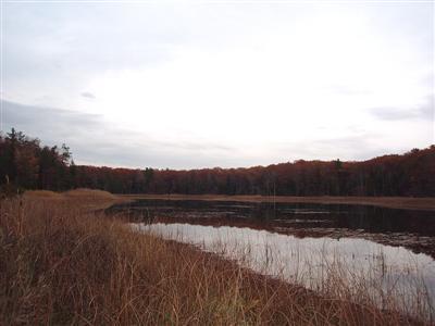741 East County Line Road Manistee, MI 49660 - Photo 1 of 10 Primary Photo