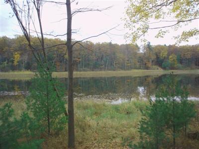 741 East County Line Road Manistee, MI 49660 - Photo 4 of 10 Additional Photo