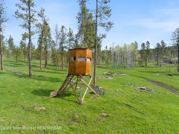 $15,950,000 | 140 Cow Camp Road, Sundance, WY 82729