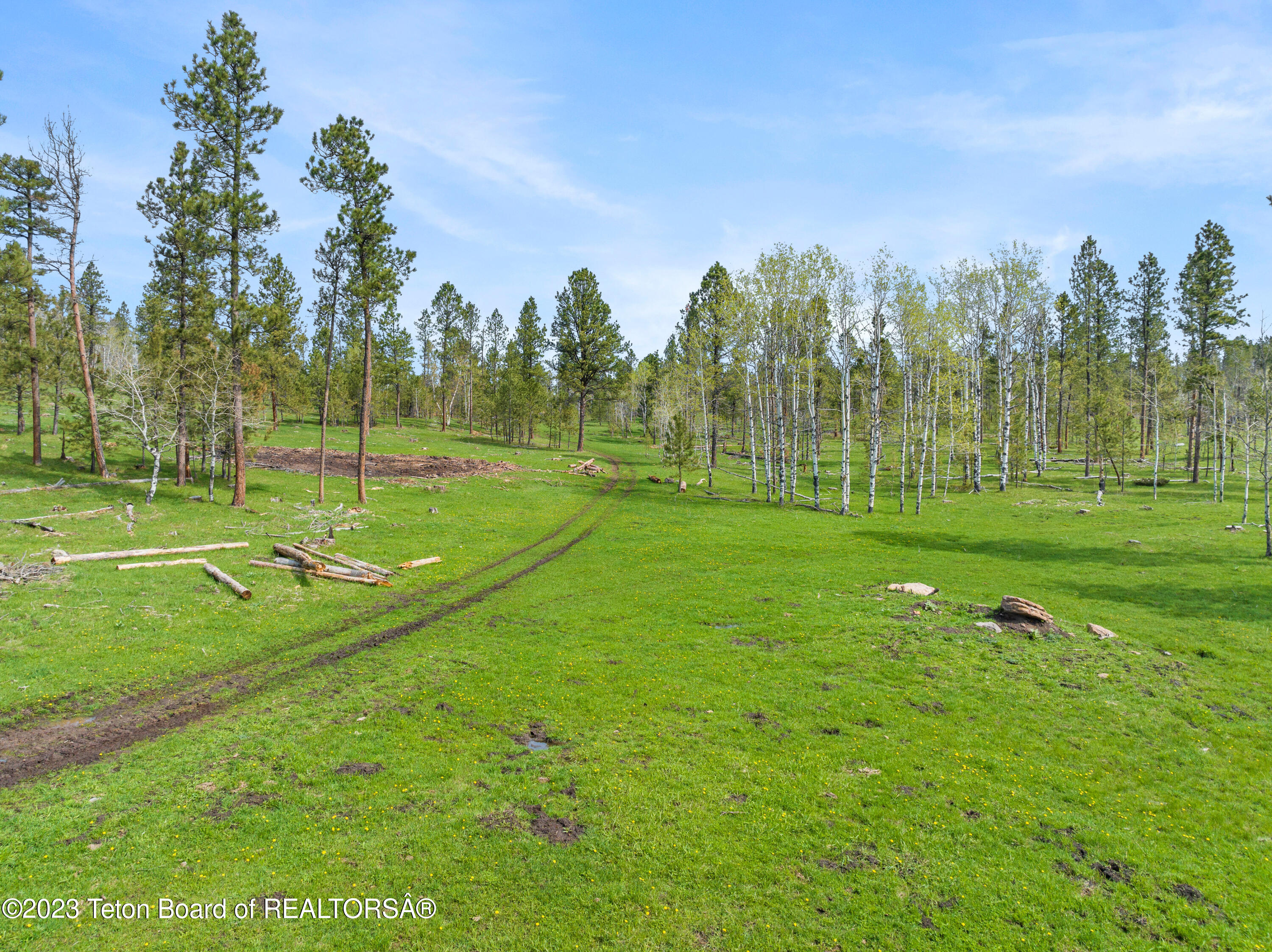 140 Cow Camp Road Sundance, WY 82729 - Photo 32 of 103 Ranch of Our Lady MLS-29