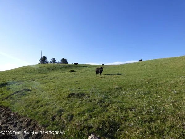 $15,950,000 | 140 Cow Camp Road, Sundance, WY 82729