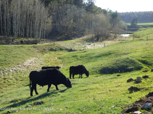 $15,950,000 | 140 Cow Camp Road, Sundance, WY 82729