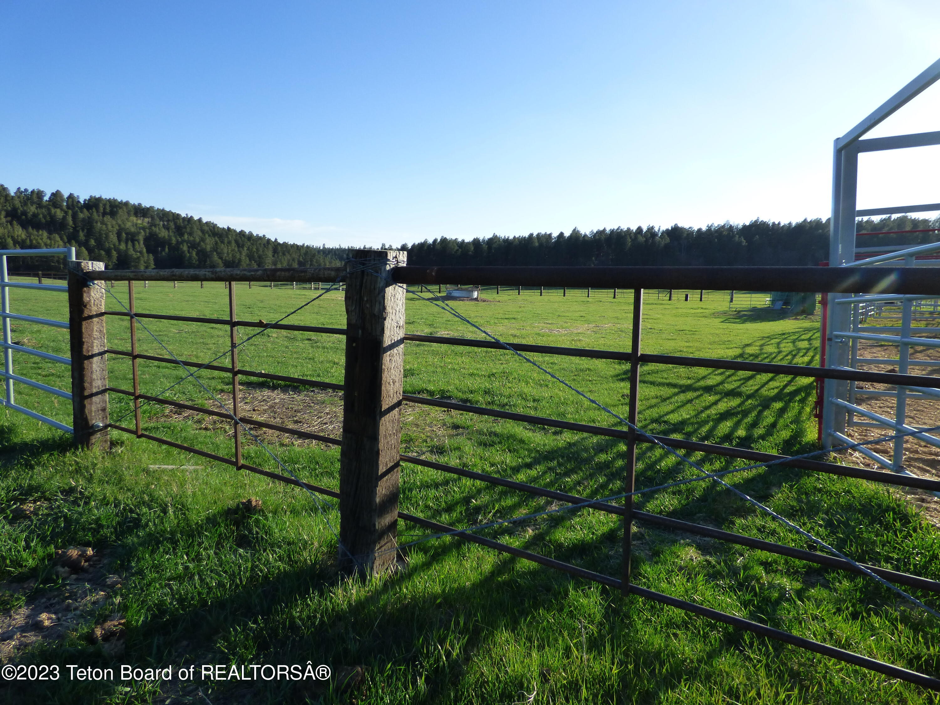 140 Cow Camp Road Sundance, WY 82729 - Photo 47 of 103 P1040204