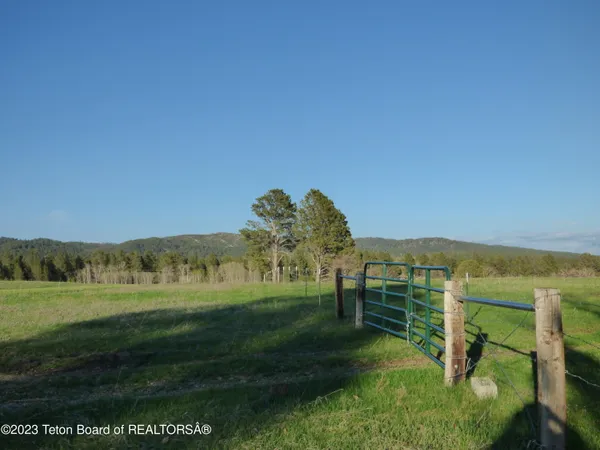 $15,950,000 | 140 Cow Camp Road, Sundance, WY 82729