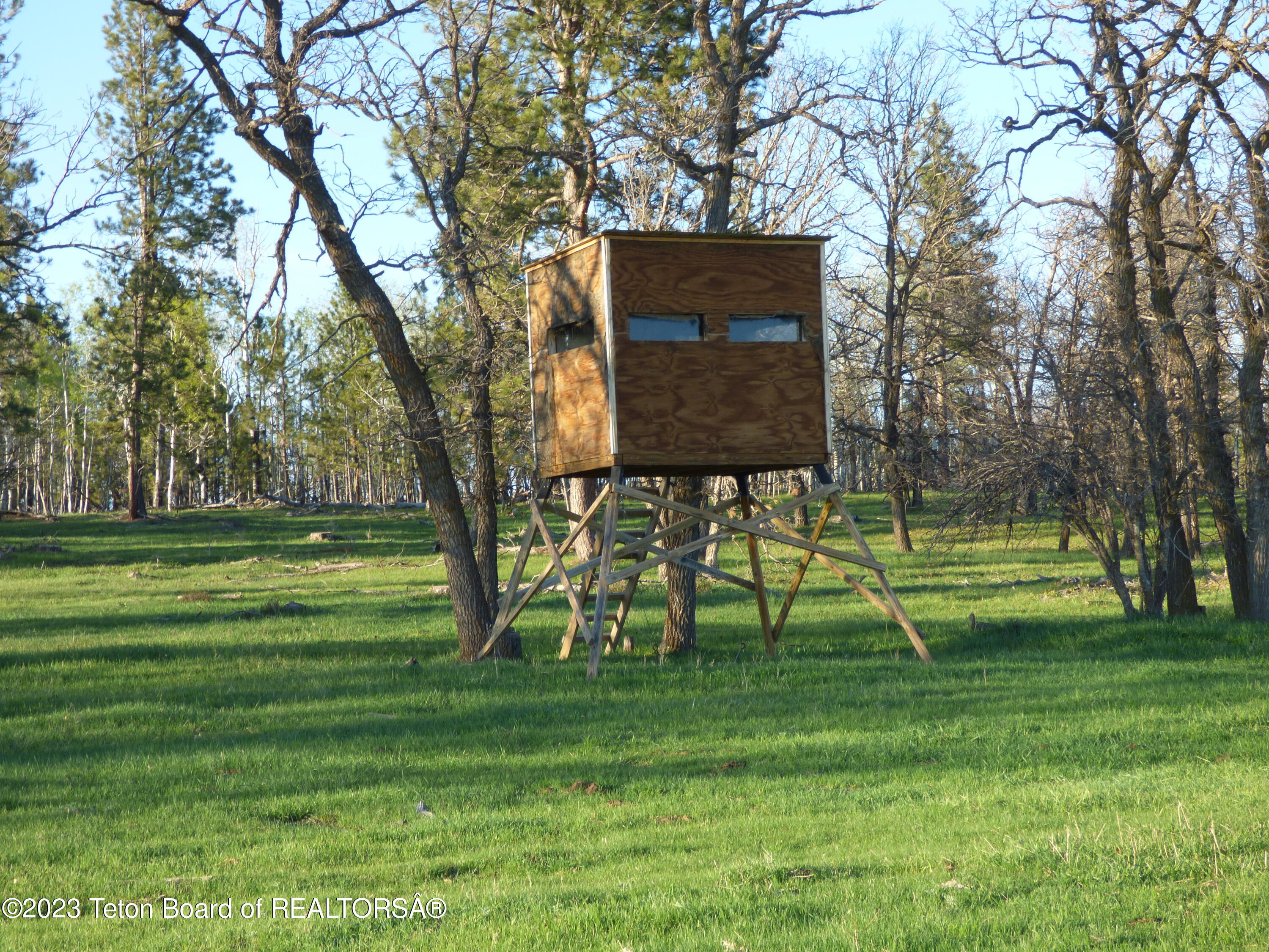 140 Cow Camp Road Sundance, WY 82729 - Photo 65 of 103 P1040268