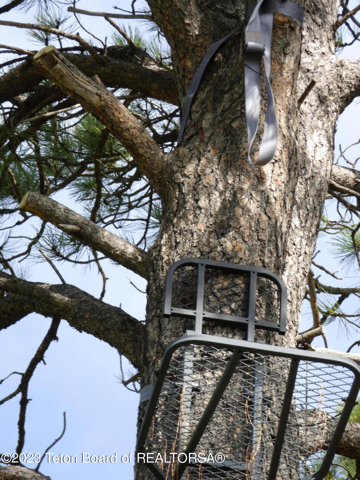 140 Cow Camp Road Sundance, WY 82729 - Photo 78 of 103 P1040335