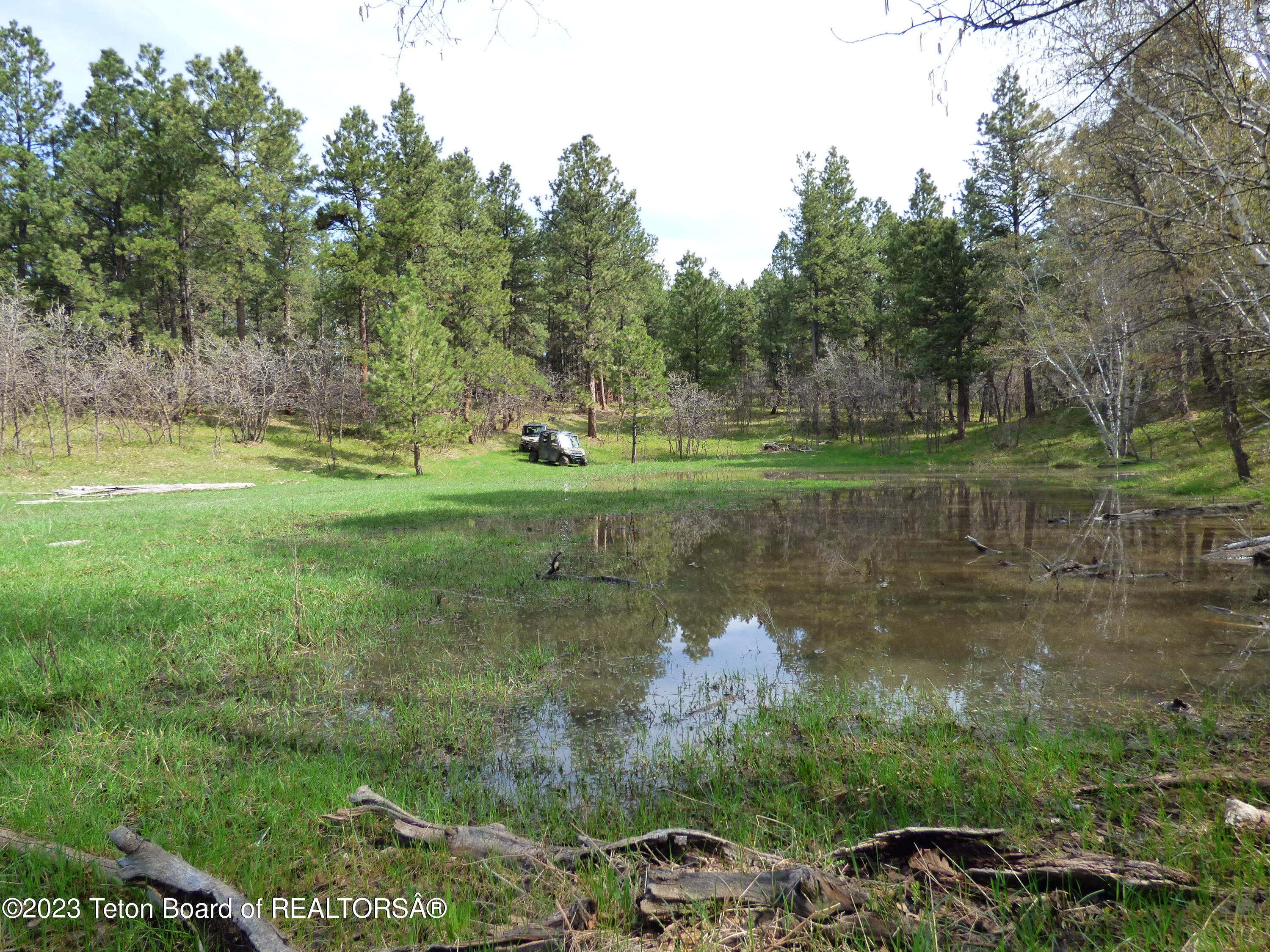 140 Cow Camp Road Sundance, WY 82729 - Photo 79 of 103 P1040345