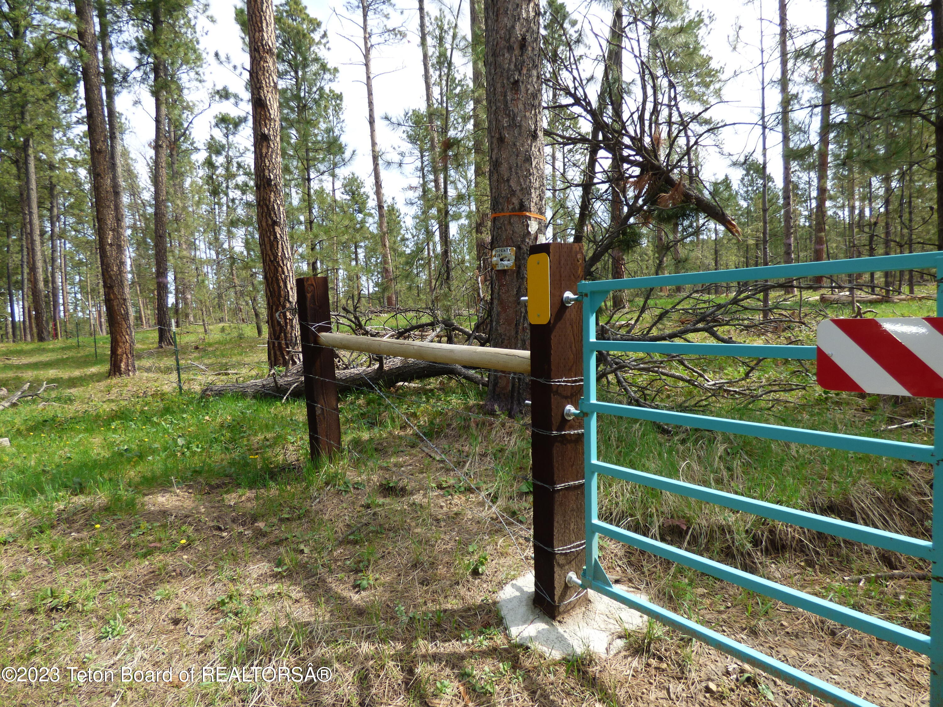 140 Cow Camp Road Sundance, WY 82729 - Photo 85 of 103 P1040366