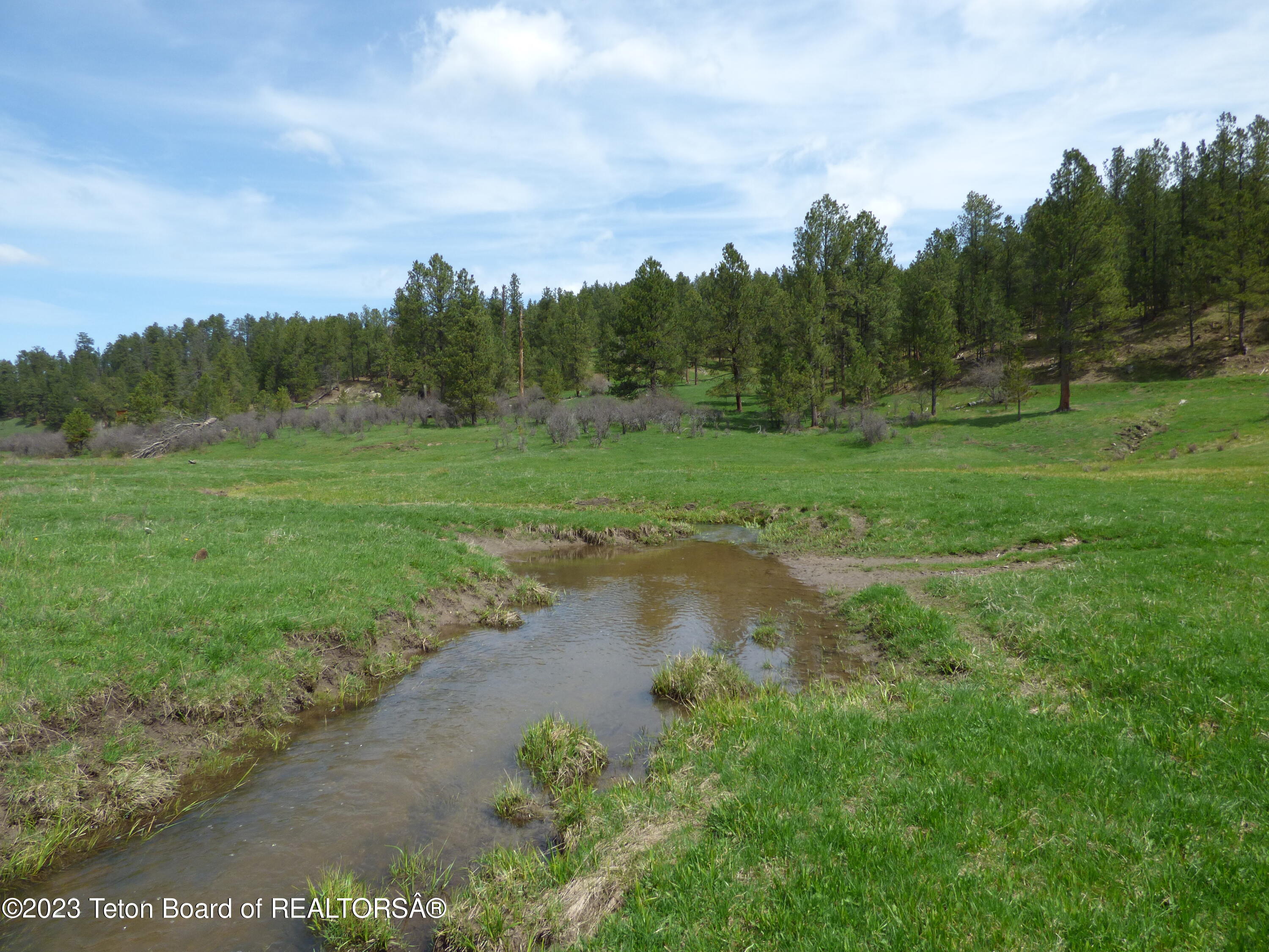 140 Cow Camp Road Sundance, WY 82729 - Photo 99 of 103 P1040390