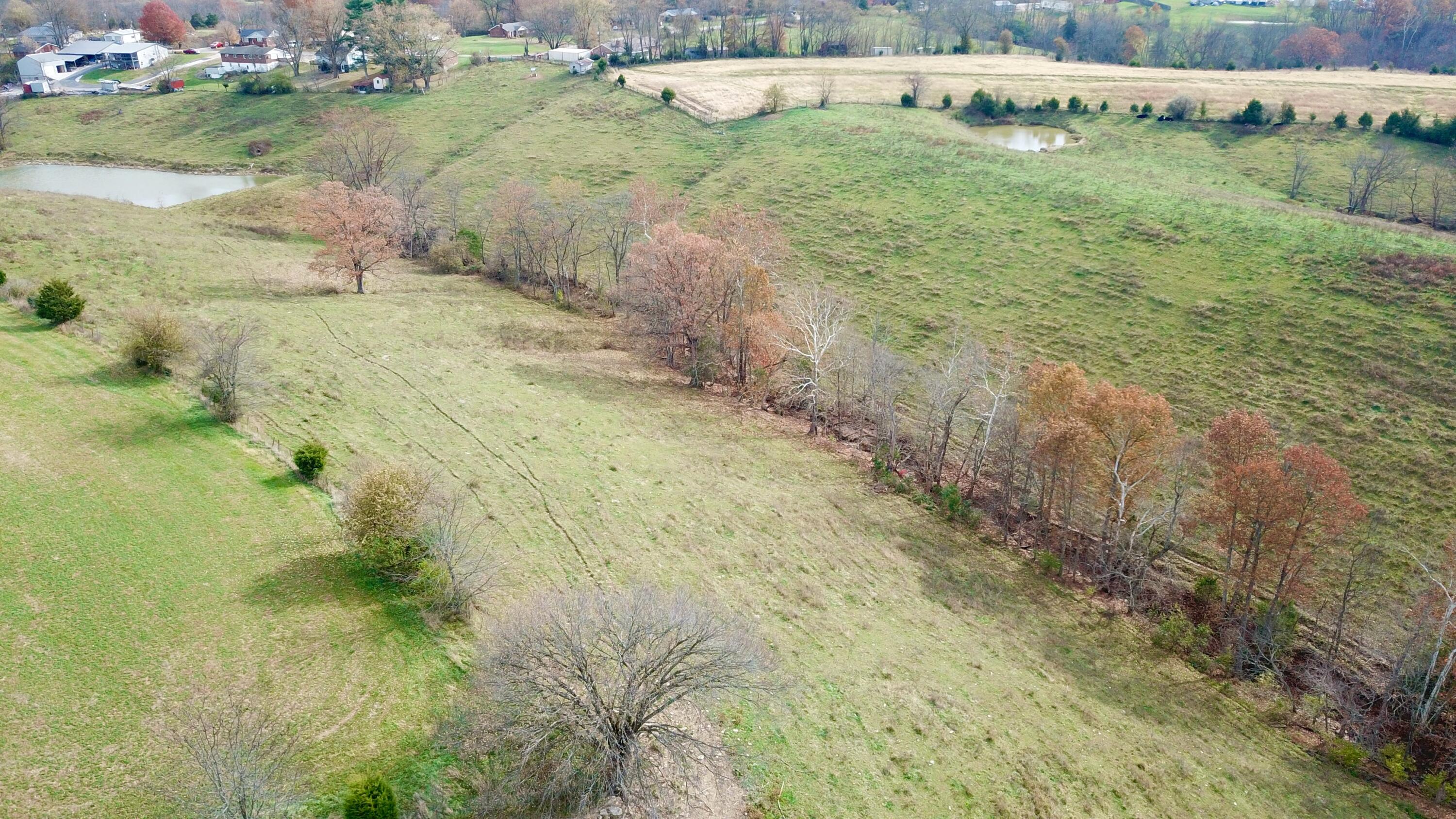 0 Gratz Road Owenton, KY 40359 - Photo 37 of 40